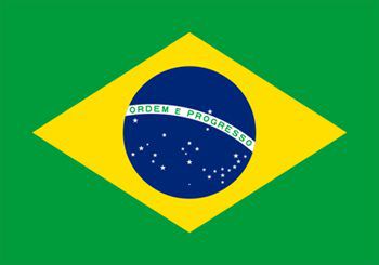 ブラジル国旗(小)