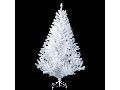 White tree for sale
