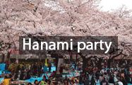 Hanami party