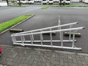 ジャカランダまつりで脚立を使用
