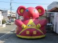 コアラ レンタル