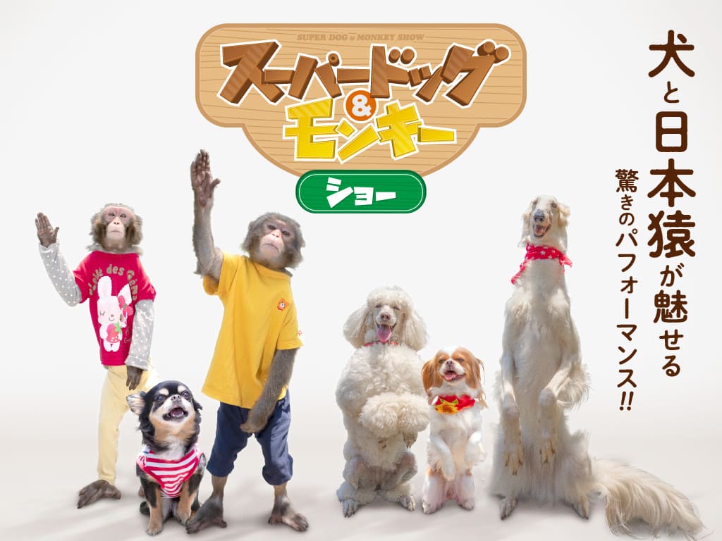 スーパードッグ＆モンキーサーカスショー イメージ1