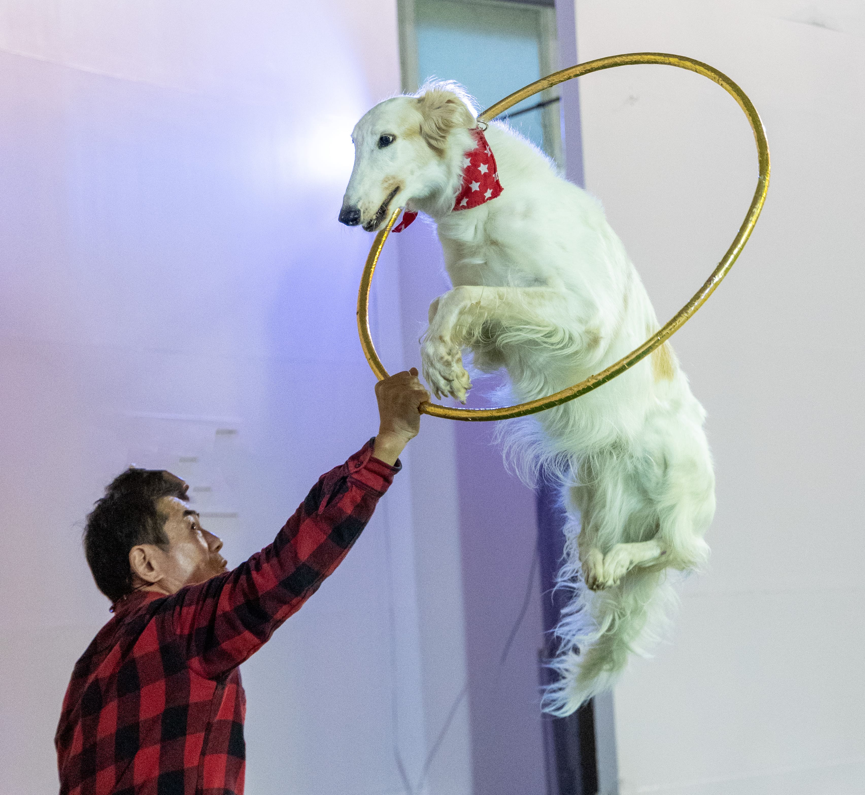 スーパードッグ＆モンキーサーカスショー イメージ10