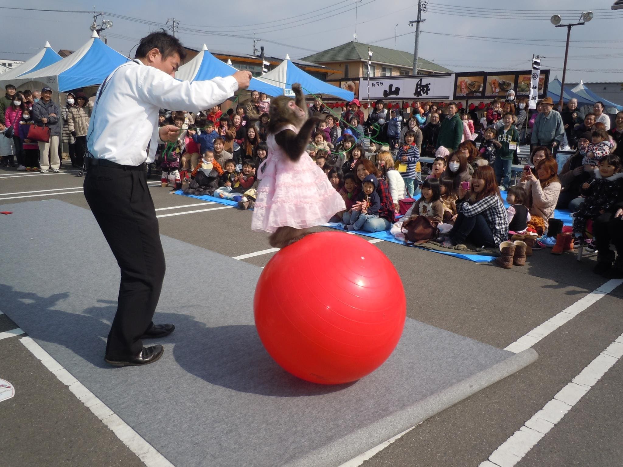 スーパードッグ＆モンキーサーカスショー イメージ3