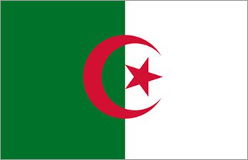 アルジェリア国旗(小)