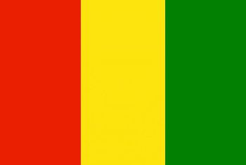 ギニア国旗(小)