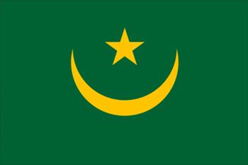 モーリタニア国旗(小)