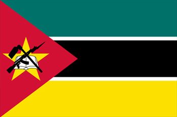 モザンビーク国旗(小)