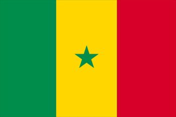 セネガル国旗(小)
