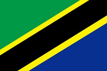 タンザニア国旗(小)