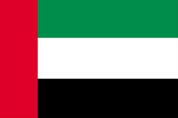 アラブ首長国連邦国旗(小)