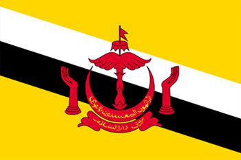 ブルネイ国旗(小)