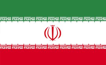 イラン国旗(小)