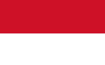インドネシア国旗(小)