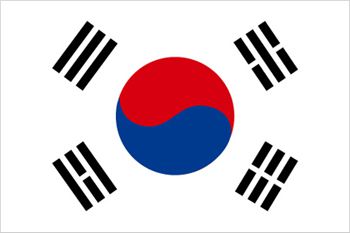 韓国国旗(小)