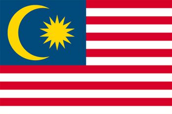 マレーシア国旗(小)