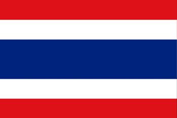 タイ国旗(小)