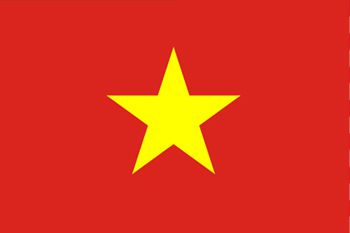 ベトナム国旗(小)