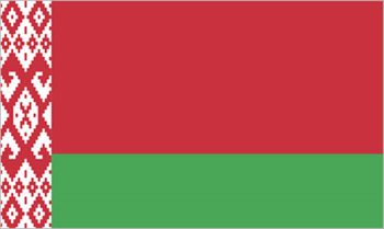 ベラルーシ国旗(小)