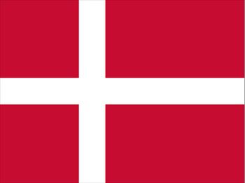 デンマーク国旗(小)