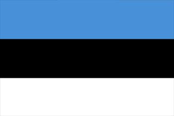 エストニア国旗(小)