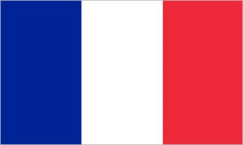 フランス国旗(小)