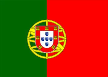 ポルトガル国旗(小)