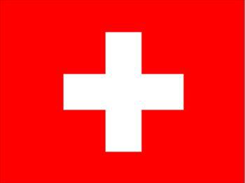 スイス国旗(小)