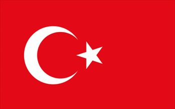トルコ国旗(小)