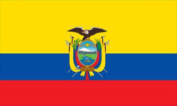 エクアドル国旗(小)
