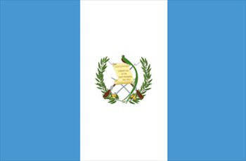 グアテマラ国旗(小)