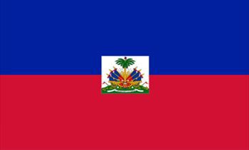 ハイチ国旗(小)