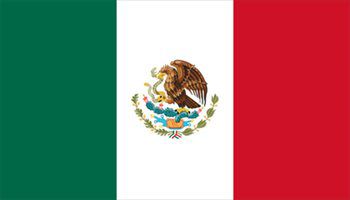 メキシコ国旗(小)
