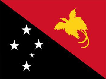 パプアニューギニア国旗(小)