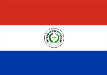 パラグアイ国旗(小)