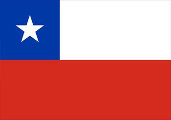 チリ国旗(小)