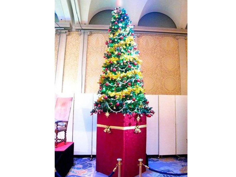 大型クリスマスツリー レンタル