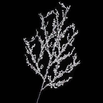 スノーリーフ オーロラアイスブランチスプレイ