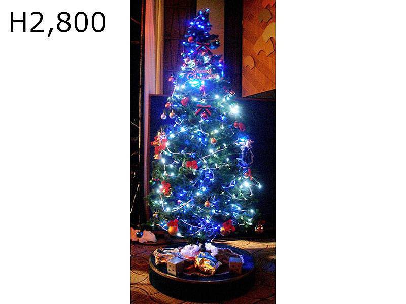 電飾付きクリスマスツリーのレンタルや設営業者は東京 大阪 神奈川 