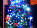 電飾付きクリスマスツリー レンタル