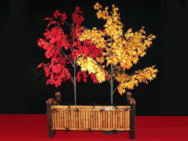 紅葉造木