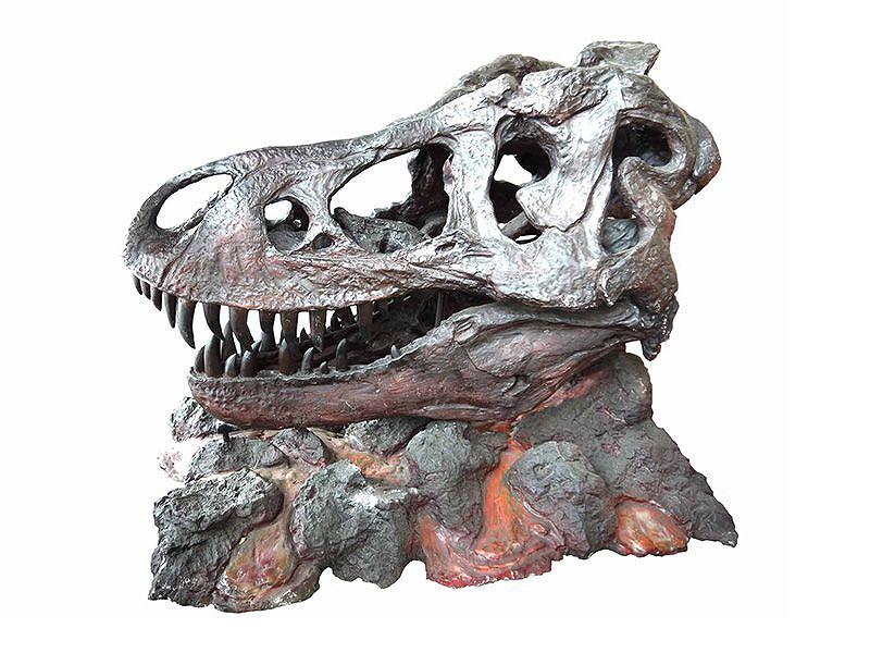 恐竜化石レプリカ レンタルは東京 大阪 全国イベント21