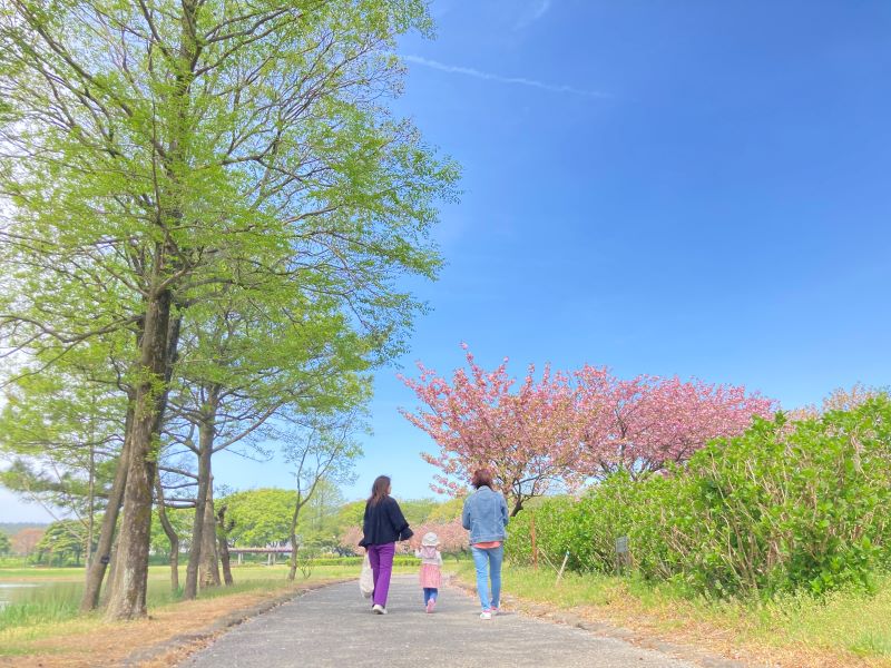 敬老の日イベント イメージ