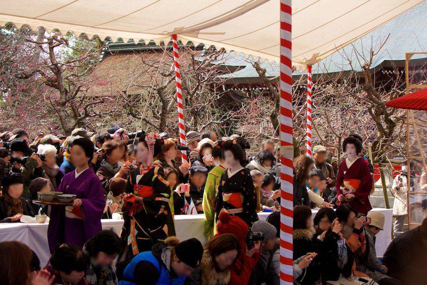 野点イベント レンタル