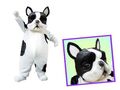 犬着ぐるみ(ボストンテリア) レンタル