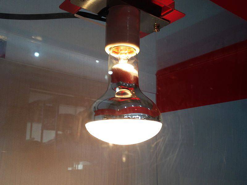 ホットショーケース(保温器)　ランプ