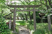 相撲神社　鳥居