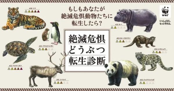 you happy,we happy!支援先決定！『WWFジャパン』様のWEBサイトはこちらです！