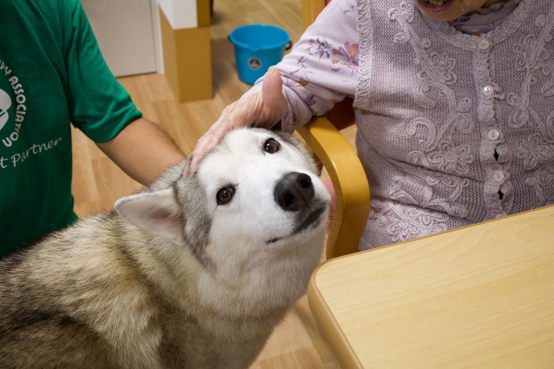 セラピードッグふれあいプラン イメージ3