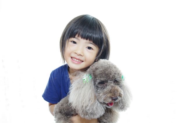 セラピードッグふれあいプラン イメージ6